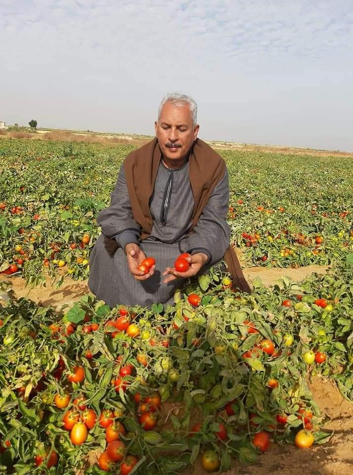 نقيب الفلاحين