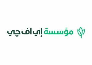 مؤسسة إي اف چي