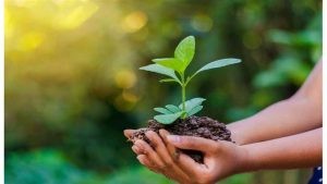 المبادرة الوطنية للمشروعات الخضراء الذكية