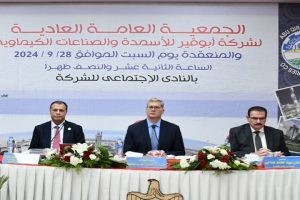 وزير البترول والثروة المعدنية خلال الجمعية العامة لشركة أبو قير للأسمدة 2