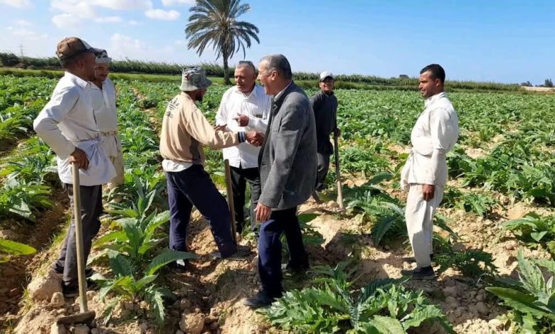 الإدارة المركزية للإرشاد الزراعي
