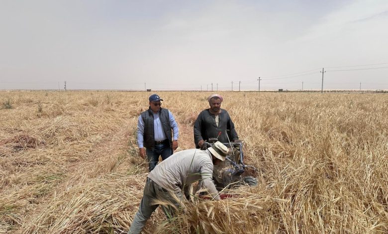 المرور على المزارعين بسيناء