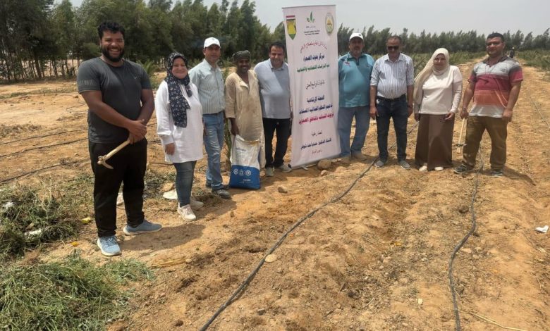 مركز بحوث الصحراء