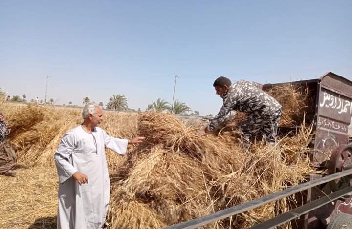 نقيب الفلاحين