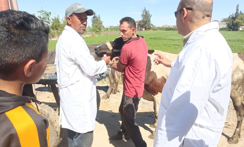 قوافل بيطرية