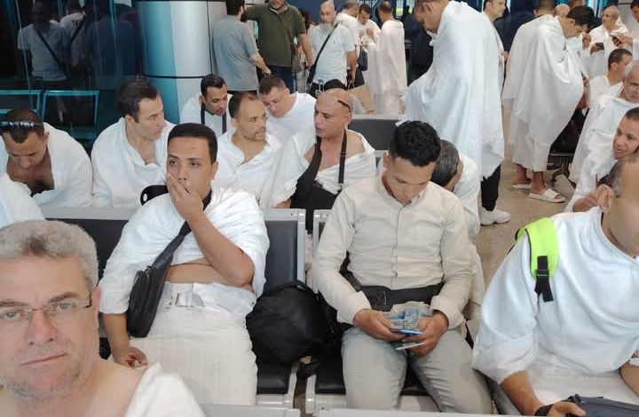 الأطباء البيطريين