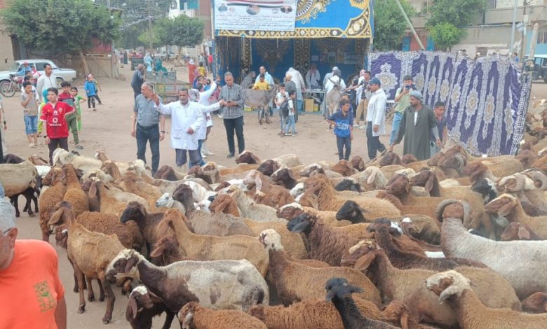 القوافل البيطرية