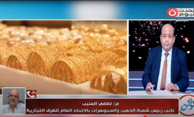 لطفى منيب خلال المداخلة