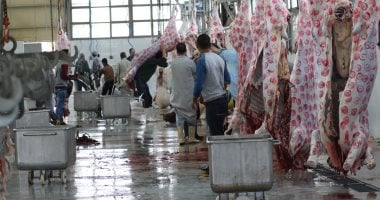 مجازر وزارة الزراعة