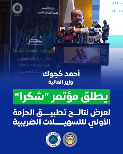 وزير المالية
