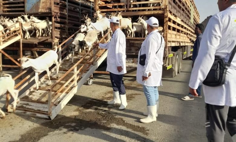 وزير الزراعة يتابع أعمال البعثة البيطرية المصرية للإشراف على الهدي