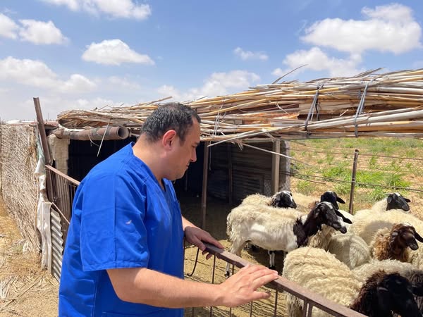 نشاط مركز بحوث الصحراء