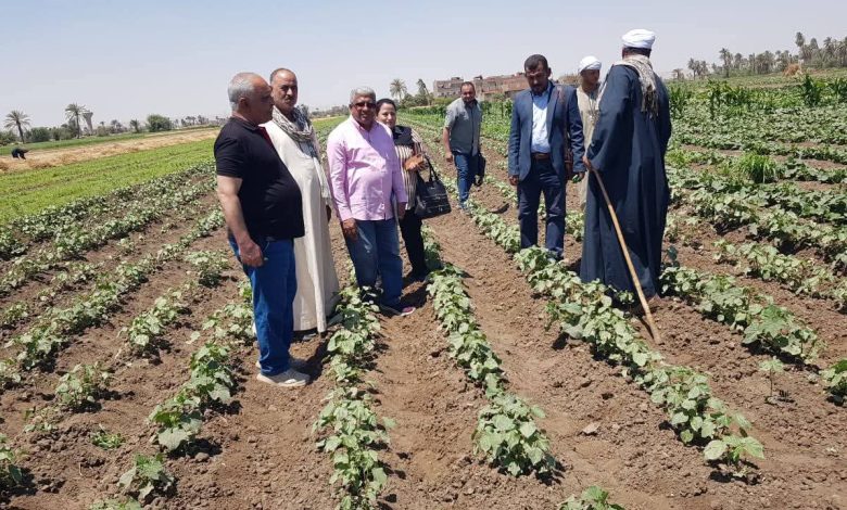 الإرشاد الزراعي