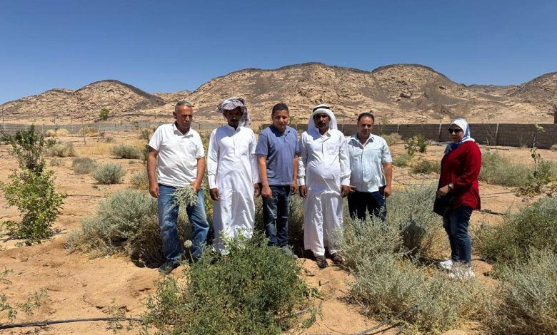 بحوث الصحراء