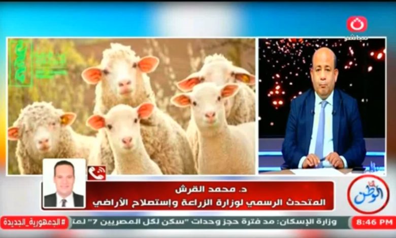 متحدث وزارة الزراعة يكشف استعدادات عيد الأضحى