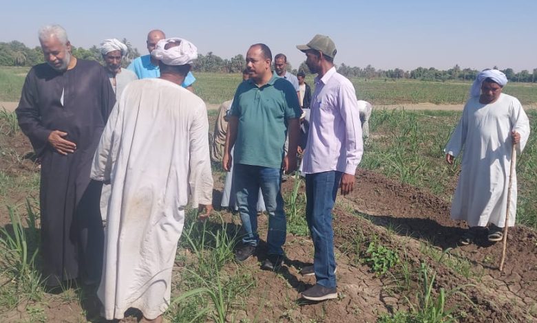 الأنشطة الارشادية