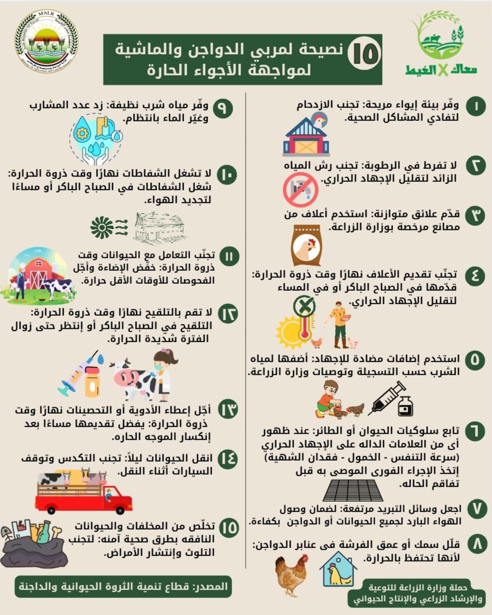 نصائح لمربى الماشية والدواجن