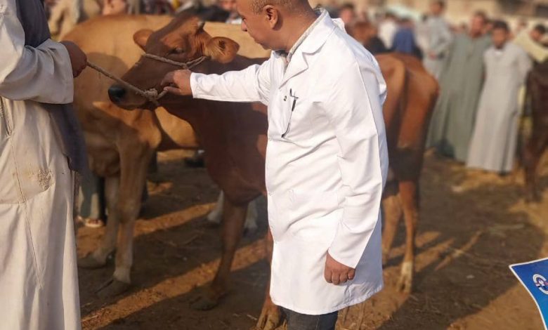 تحصين الماشية
