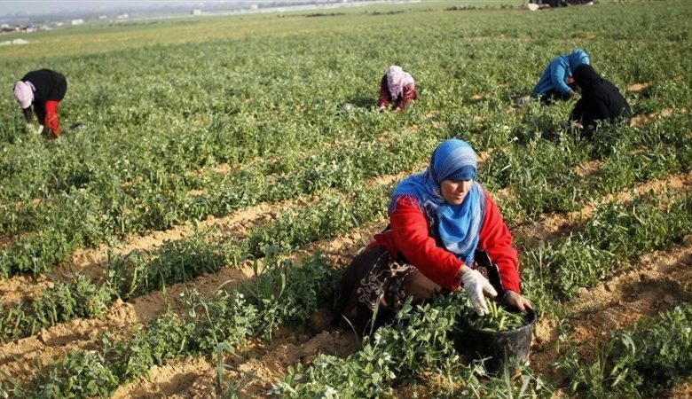 كيفية الاشتراك في تأمينات ربات البيوت؟
