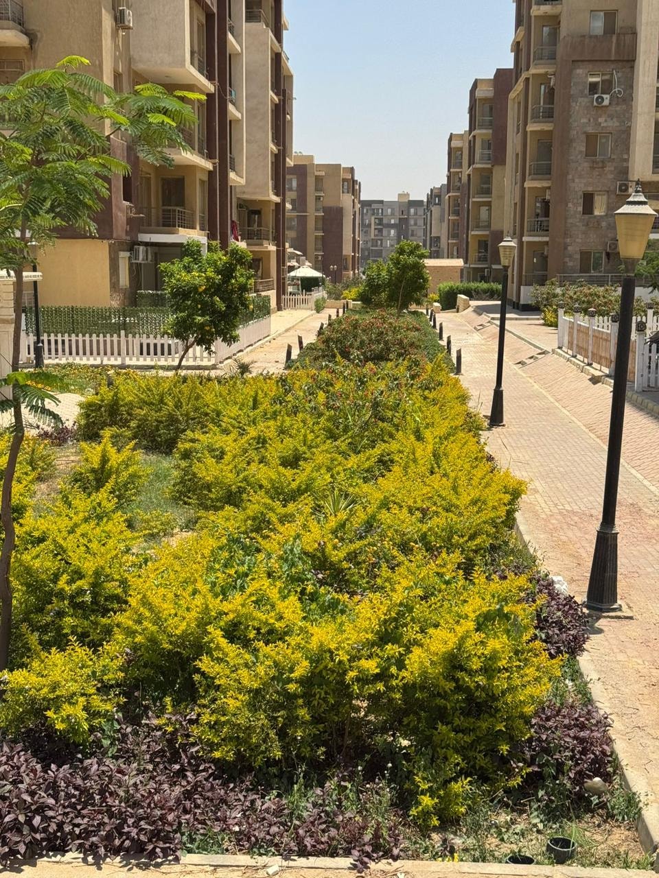 وحدات جنة