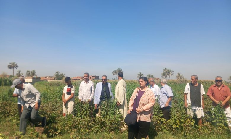 ندوة إرشادية