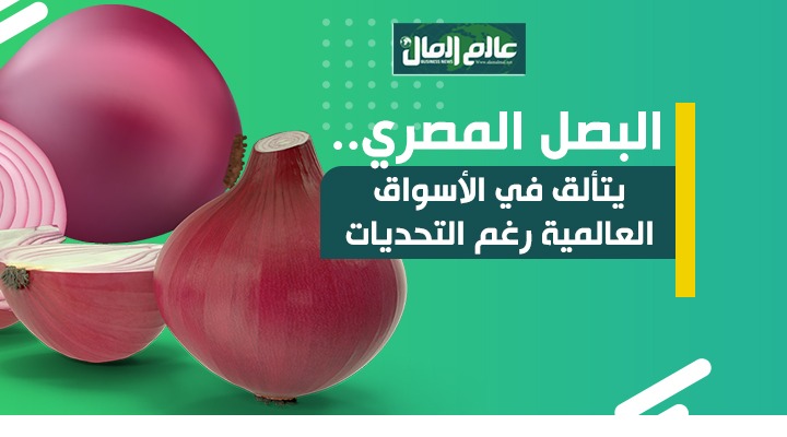 جراف بالأرقام يوضح صادرات مصر من البصل