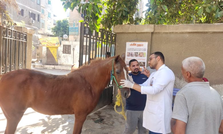 الخدمات البيطرية