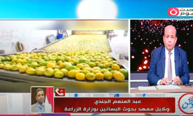 خلال المداخلة