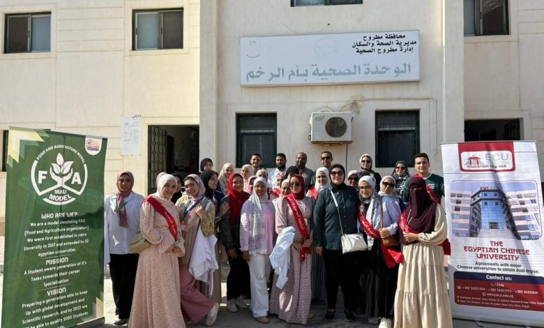 الجامعة المصرية الصينية