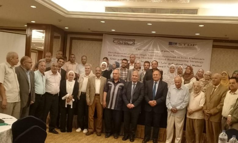 خلال ورشة العمل
