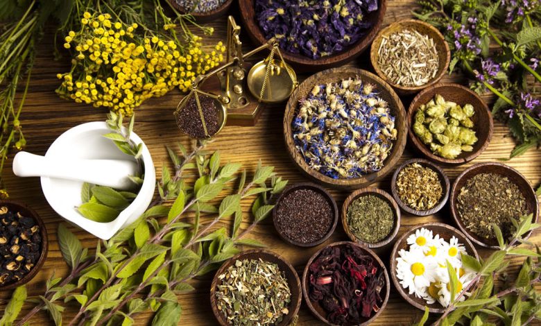 النباتات الطبية والعطرية