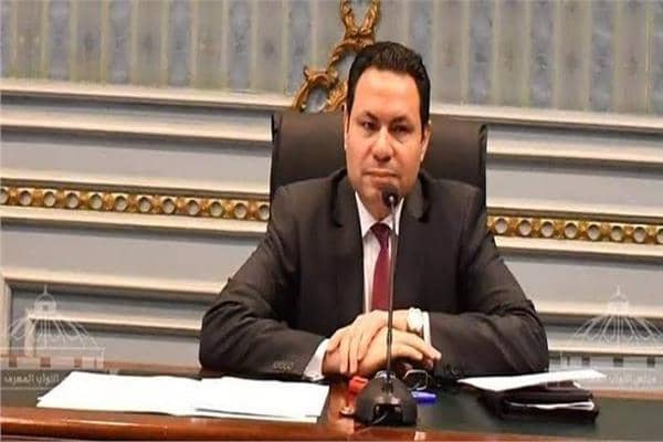 النائب هشام الحصري رئيس لجنة الزراعة بالبرلمان