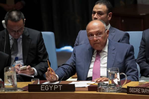 شكري: مصر لا ترى سببا لاستضافة تركيا قيادات الإخوان المسلمين