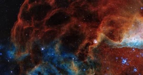 ناسا تشارك صورة مذهلة من قلب الفضاء للشعاب المرجانية الفضائية