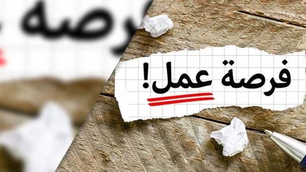 براتب 6 آلاف جنيه.. 900 فرصة عمل للشباب بالقاهرة