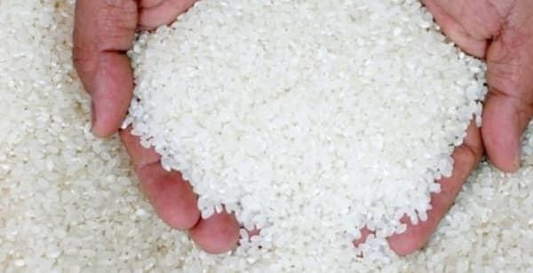أسباب انخفاض أسعار الأرز في الأسواق - جريدة المال