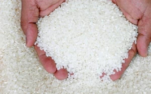 أسباب انخفاض أسعار الأرز في الأسواق - جريدة المال