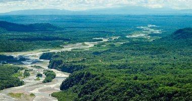 دراسة تحذر: غابات الأمازون تقترب من نقطة تحول نصفها إلى سافانا