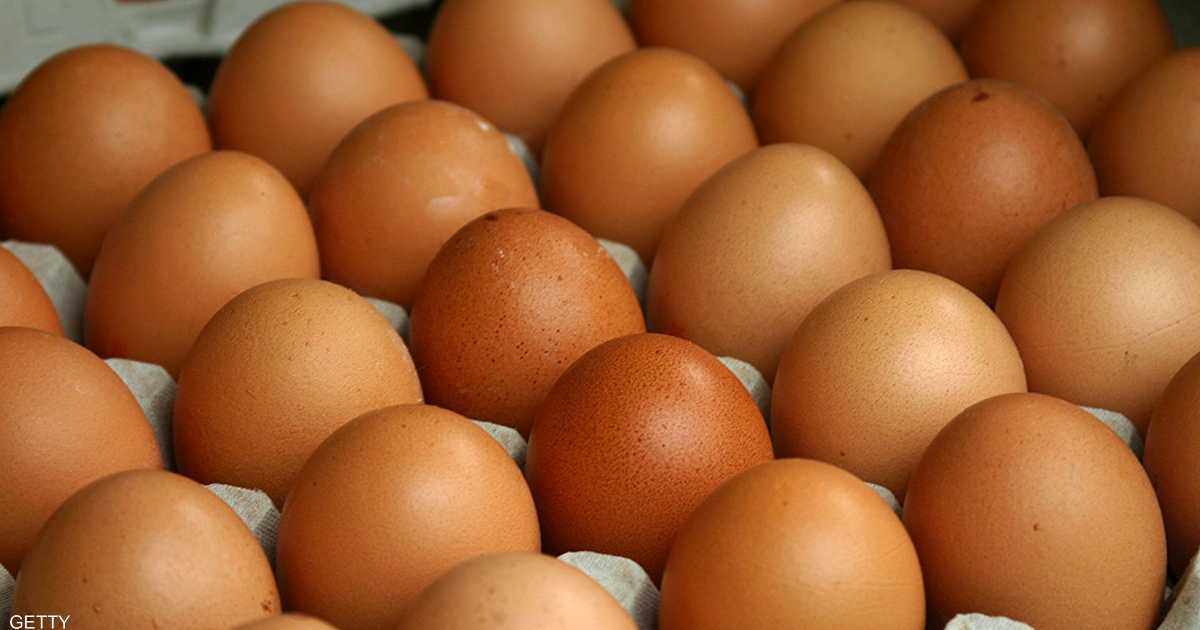 حجم إنتاج مصر من البيض 14 مليار سنويا.. فما سر ارتفاع سعره؟