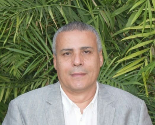 عماد قناوى رئيس شعبة المستوردين