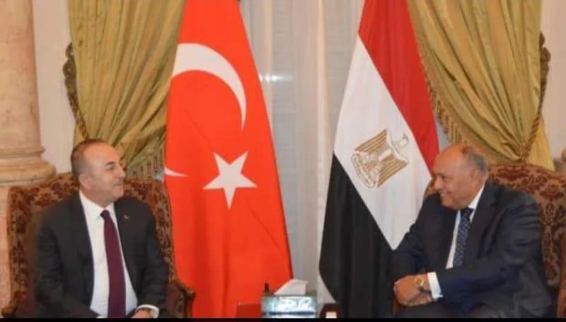 وزير الحارجية المصري مع نظيره التركي