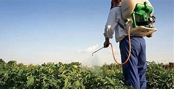 أرباح «كفر الزيات للمبيدات» ترتفع إلى 142 مليون جنيه في 6 أشهر