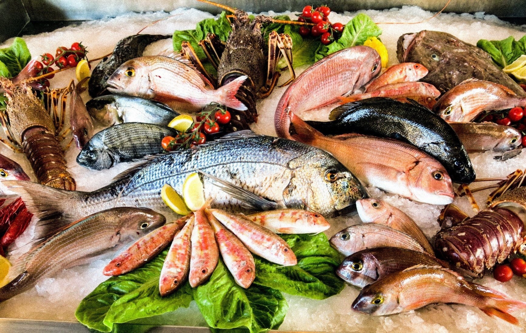 أسعار السمك اليوم 8-10-2023 في السوق المحلي - عالم المال