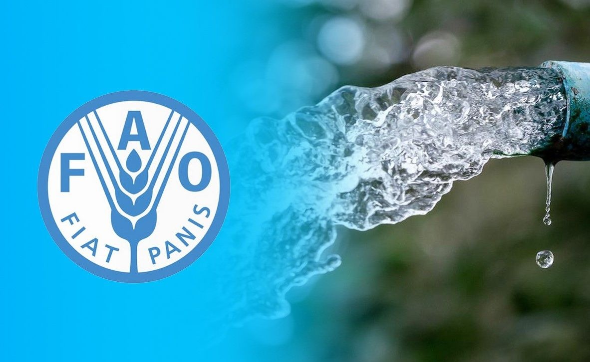 منظمة الأغذية والزراعة للأمم المتحدة (FAO)