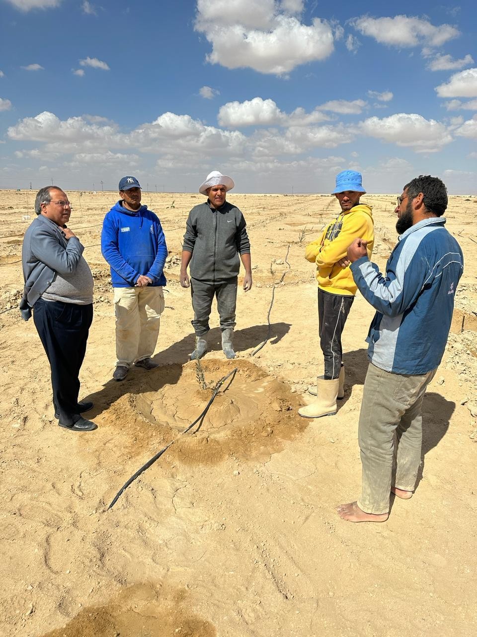 مشروع التجمعات الزراعية في شمال سيناء