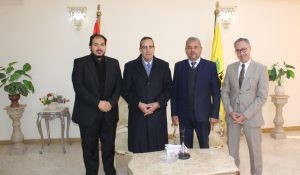 جنوب سيناء