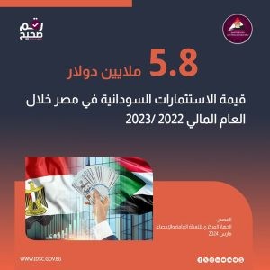 الاستثمارات السودانية