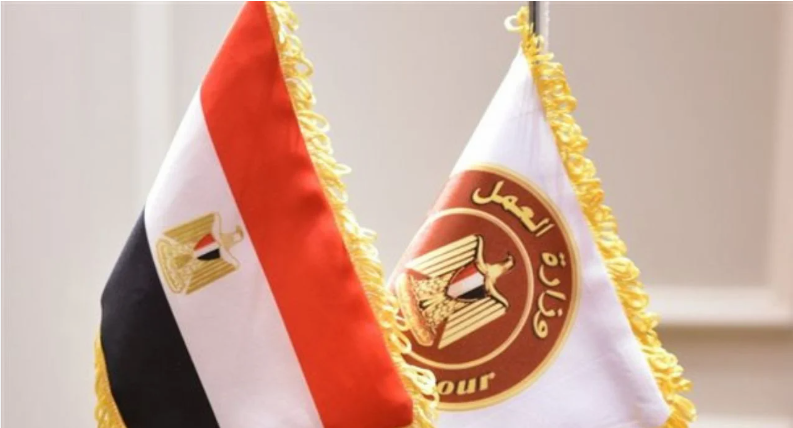 وزارة العمل 2