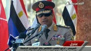 ثورة 30 يونيو