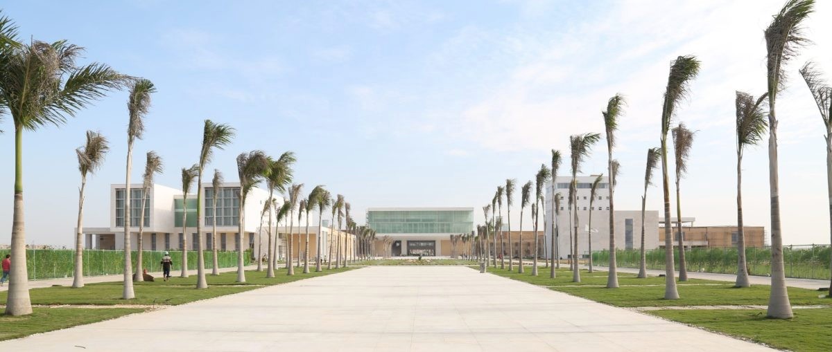 الجامعة اليابانية